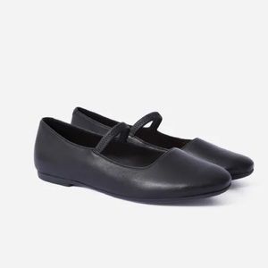 Everlane Mary Jane